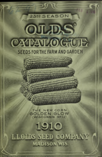 Olds' 23rd Season Catalogue of Farm and Garden Seeds (1910)