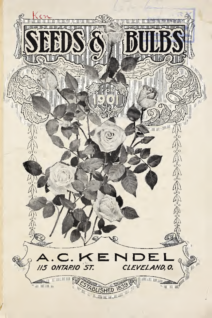 A.C. Kendal Seeds & Bulbs 1901