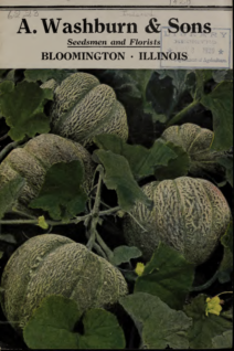 A. Washburn & Sons Flower & Plant Seeds 1920