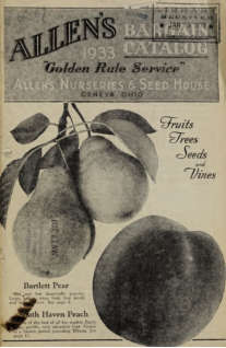 Allens Nurseries & Seed House Fruit Vegetable & Flower Seeds 1933
